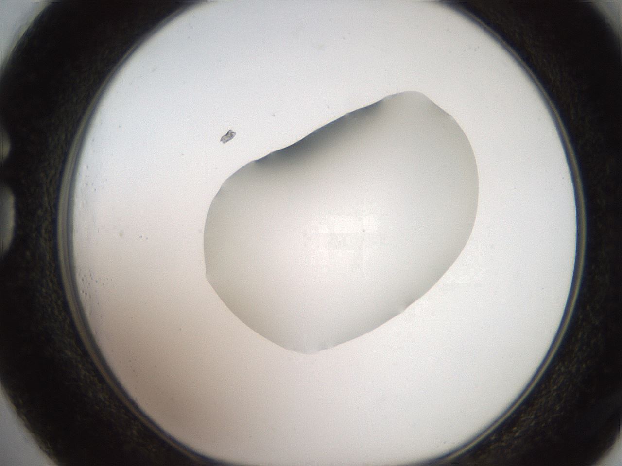 folderID271_plateID2271_batchID10709_wellNum73_profileID1_d1_r158512_ef.jpg