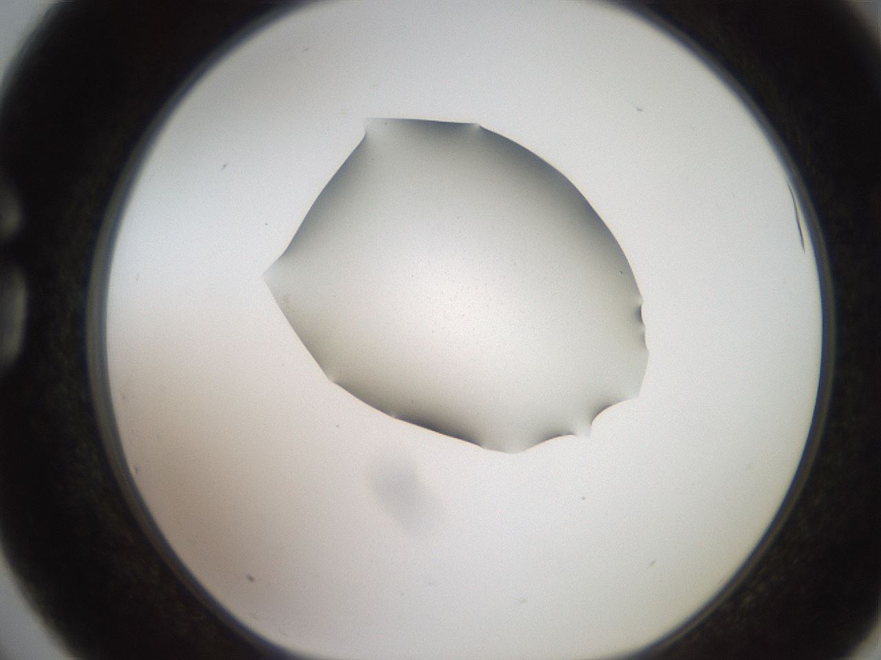 folderID271_plateID2271_batchID10709_wellNum75_profileID1_d1_r158514_ef.jpg