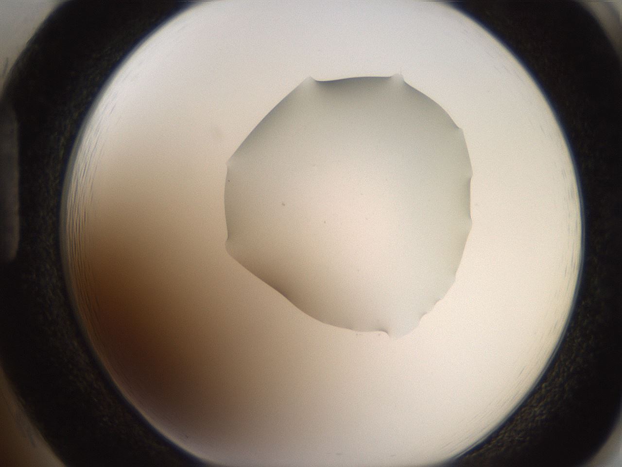 folderID271_plateID2271_batchID10709_wellNum85_profileID1_d1_r158524_ef.jpg