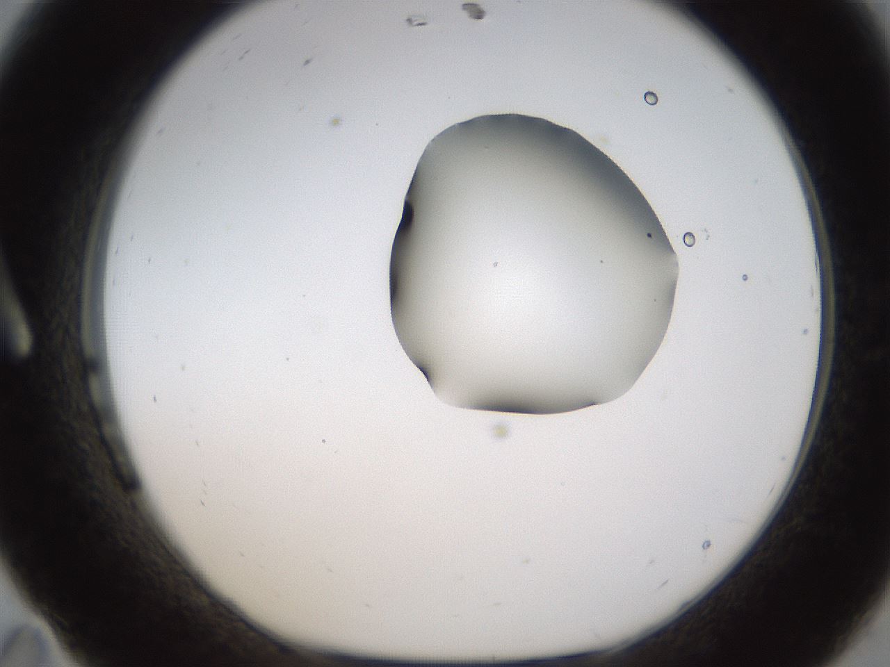 folderID272_plateID1272_batchID4170_wellNum11_profileID1_d1_r74700_ef.jpg
