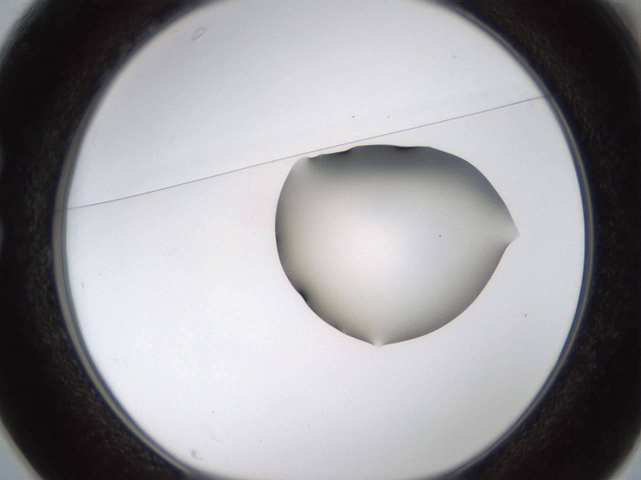 folderID272_plateID1272_batchID4170_wellNum25_profileID1_d1_r74728_ef.jpg