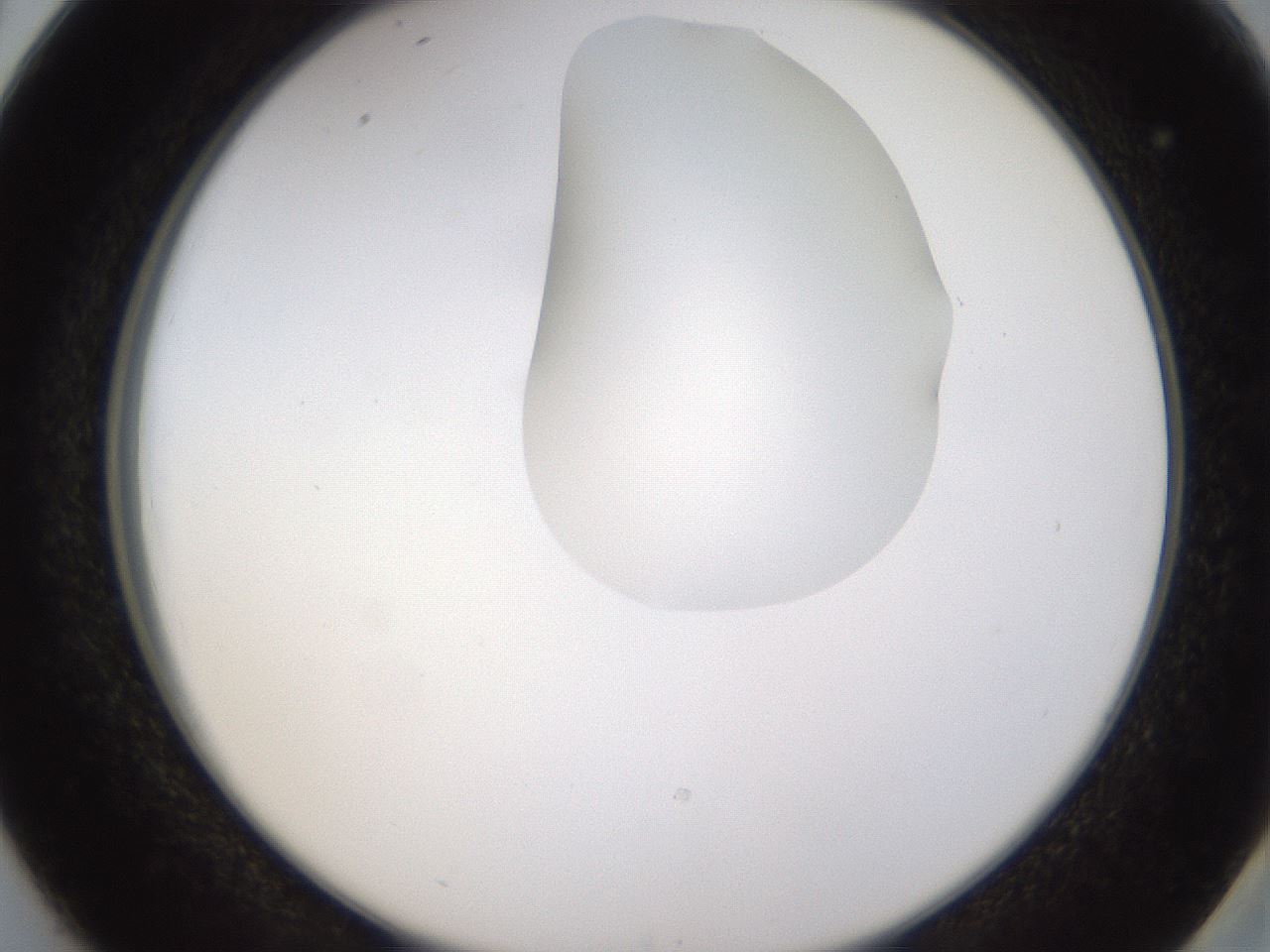folderID272_plateID1272_batchID4170_wellNum38_profileID1_d2_r74755_ef.jpg