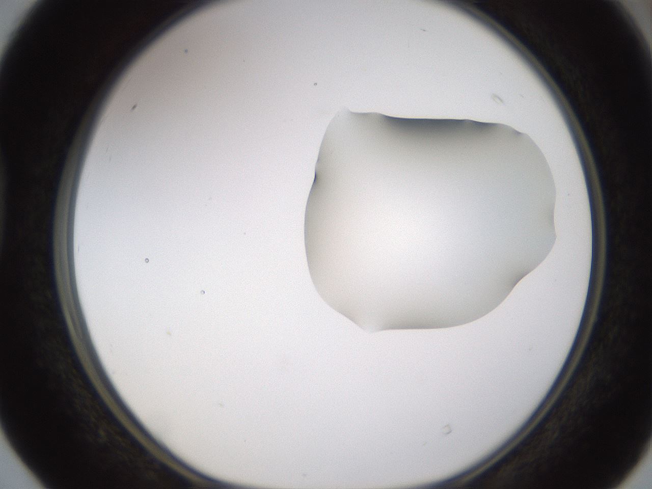 folderID272_plateID1272_batchID4170_wellNum40_profileID1_d1_r74758_ef.jpg