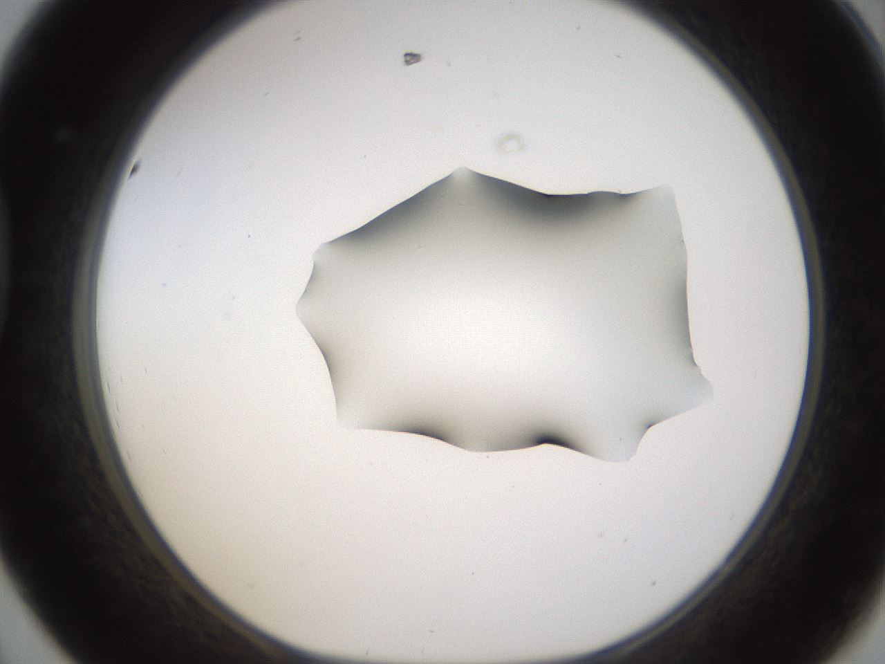 folderID272_plateID1272_batchID4170_wellNum44_profileID1_d1_r74766_ef.jpg