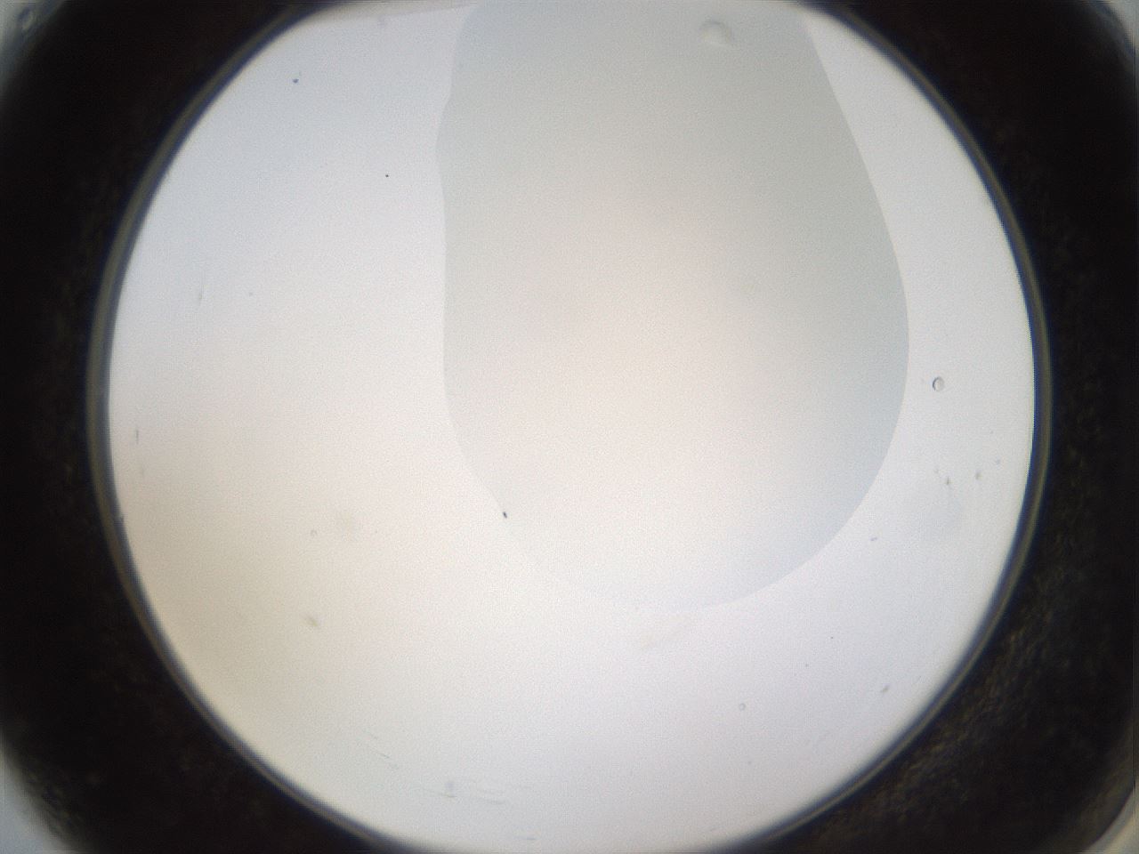 folderID272_plateID1272_batchID4170_wellNum4_profileID1_d2_r74687_ef.jpg