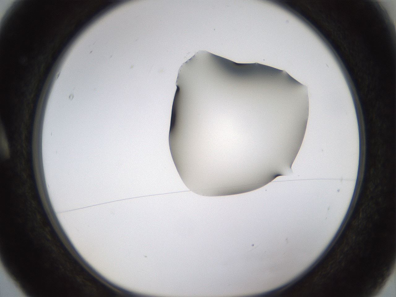 folderID272_plateID1272_batchID4170_wellNum5_profileID1_d1_r74688_ef.jpg