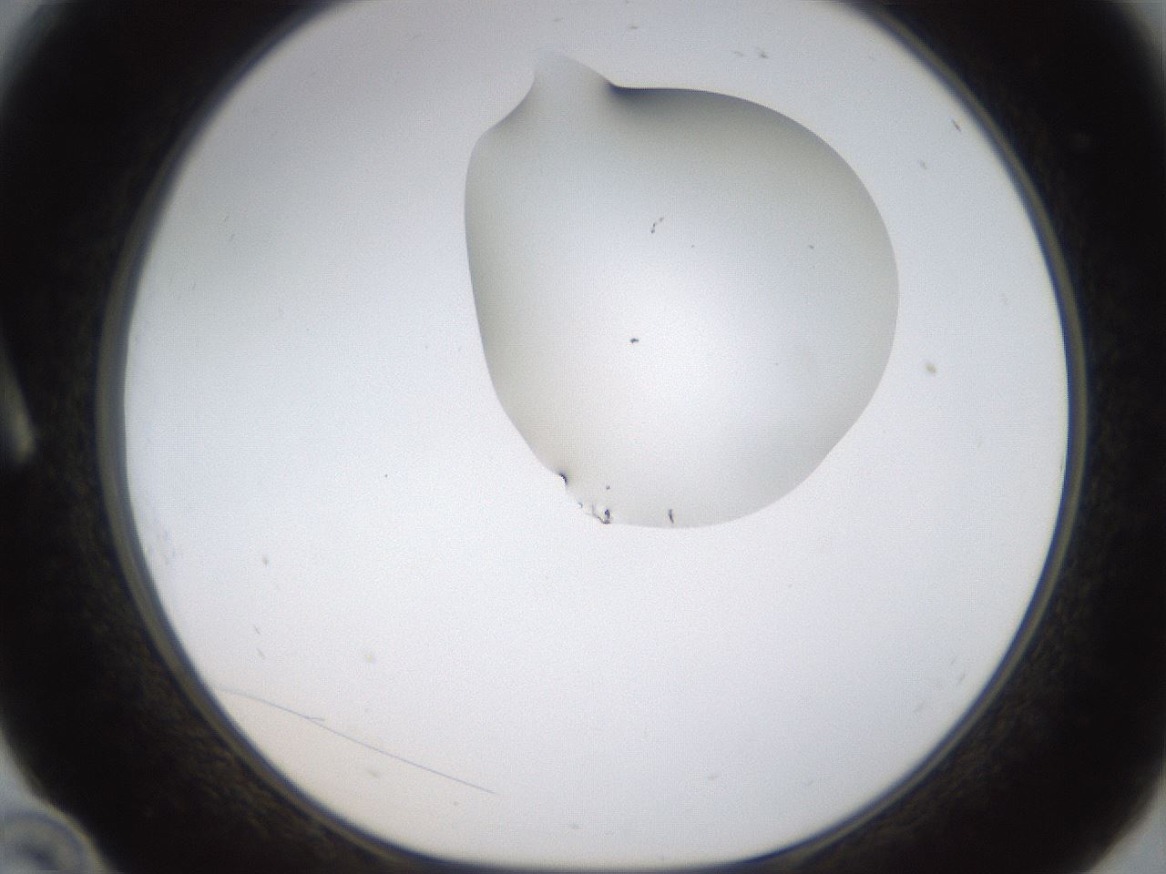 folderID273_plateID1273_batchID4173_wellNum10_profileID1_d1_r75466_ef.jpg
