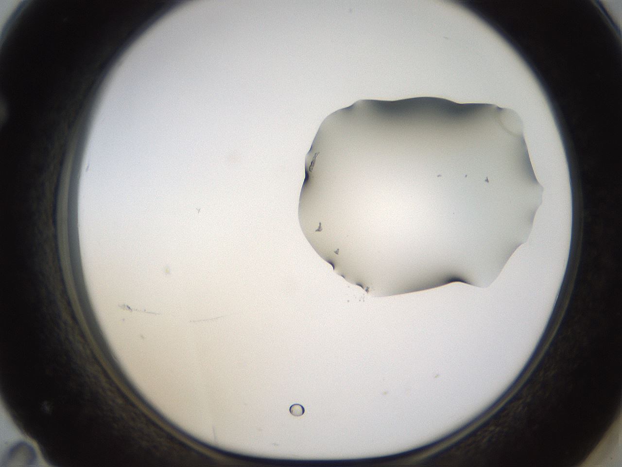 folderID272_plateID1272_batchID4170_wellNum71_profileID1_d1_r74820_ef.jpg