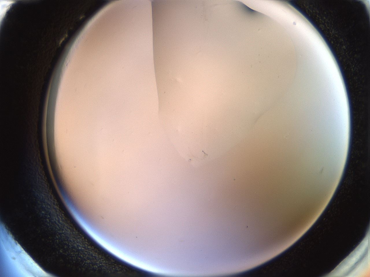 folderID272_plateID1272_batchID4170_wellNum96_profileID1_d2_r74871_ef.jpg