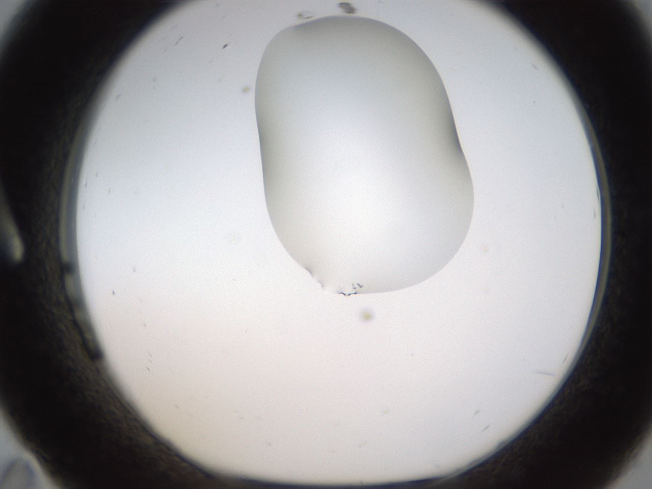 folderID273_plateID1273_batchID4173_wellNum11_profileID1_d1_r75468_ef.jpg