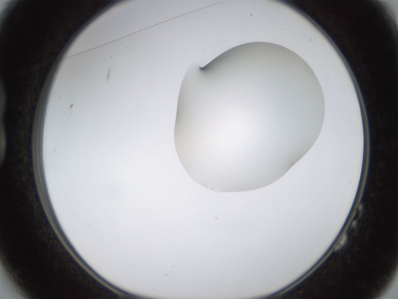 folderID273_plateID1273_batchID4173_wellNum14_profileID1_d1_r75474_ef.jpg