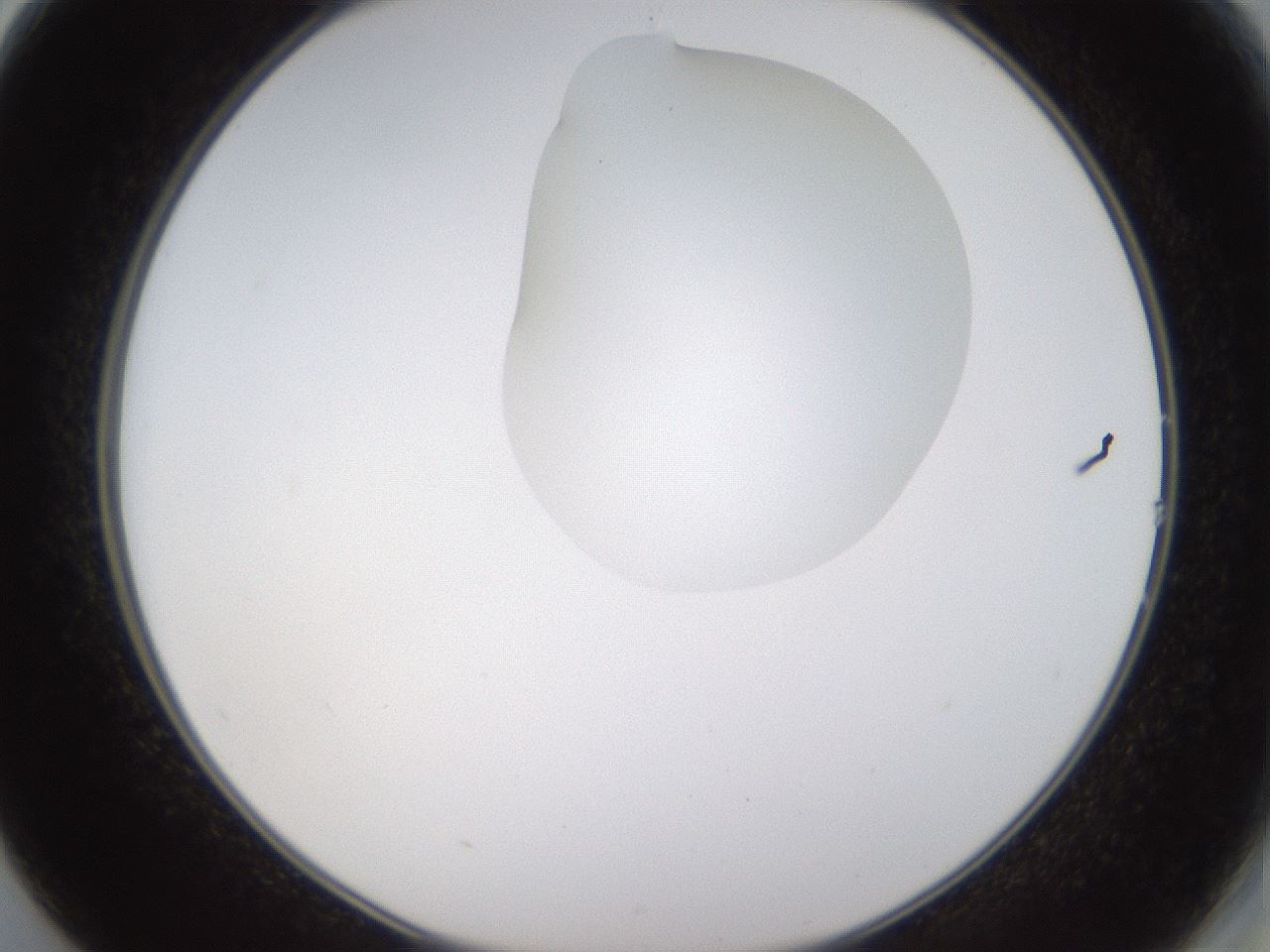 folderID273_plateID1273_batchID4173_wellNum14_profileID1_d2_r75475_ef.jpg