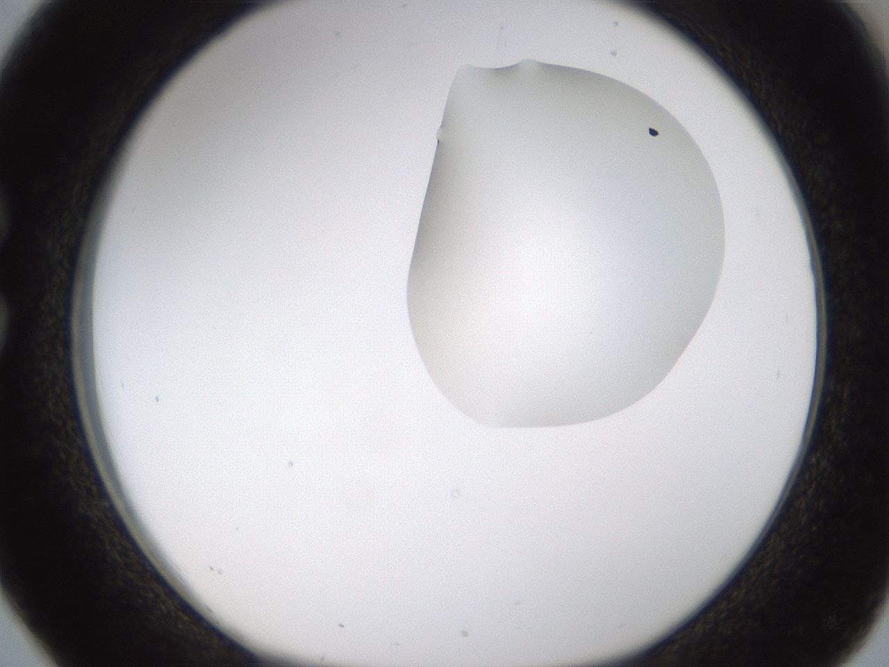 folderID273_plateID1273_batchID4173_wellNum26_profileID1_d1_r75498_ef.jpg