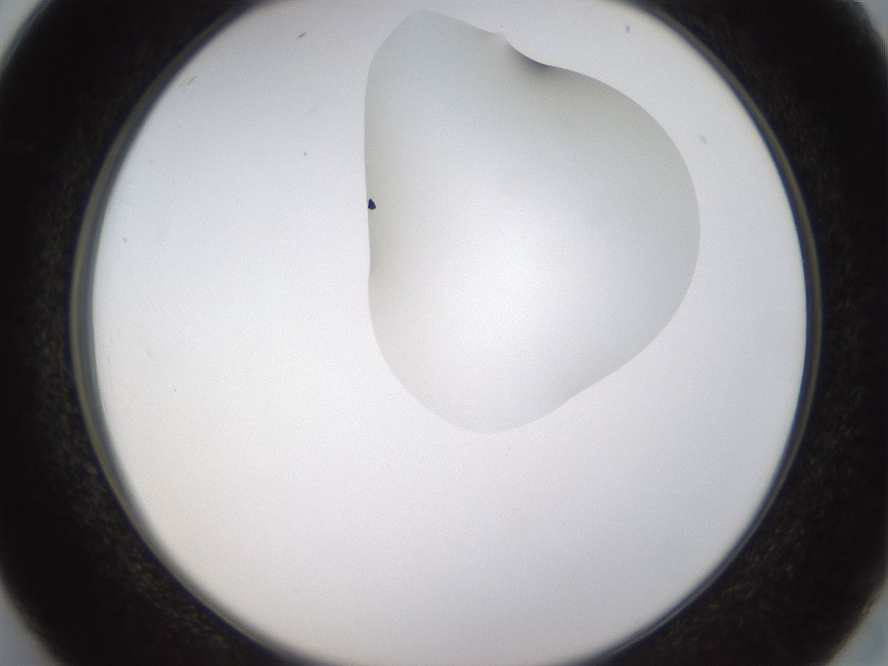 folderID273_plateID1273_batchID4173_wellNum26_profileID1_d2_r75499_ef.jpg
