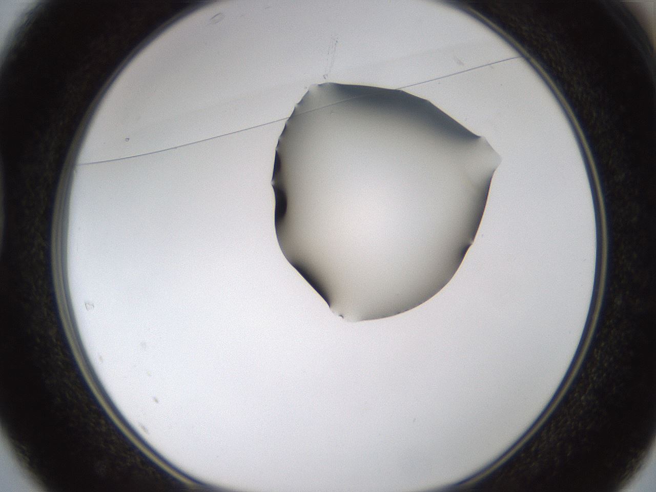 folderID273_plateID1273_batchID4173_wellNum37_profileID1_d1_r75520_ef.jpg