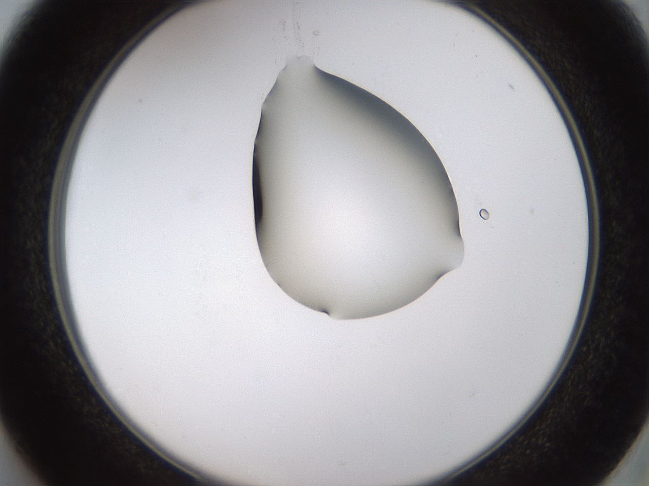 folderID273_plateID1273_batchID4173_wellNum37_profileID1_d2_r75521_ef.jpg