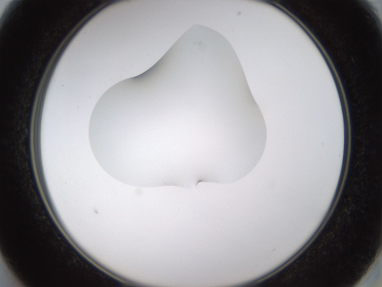 folderID274_plateID1274_batchID4175_wellNum13_profileID1_d2_r76049_ef.jpg