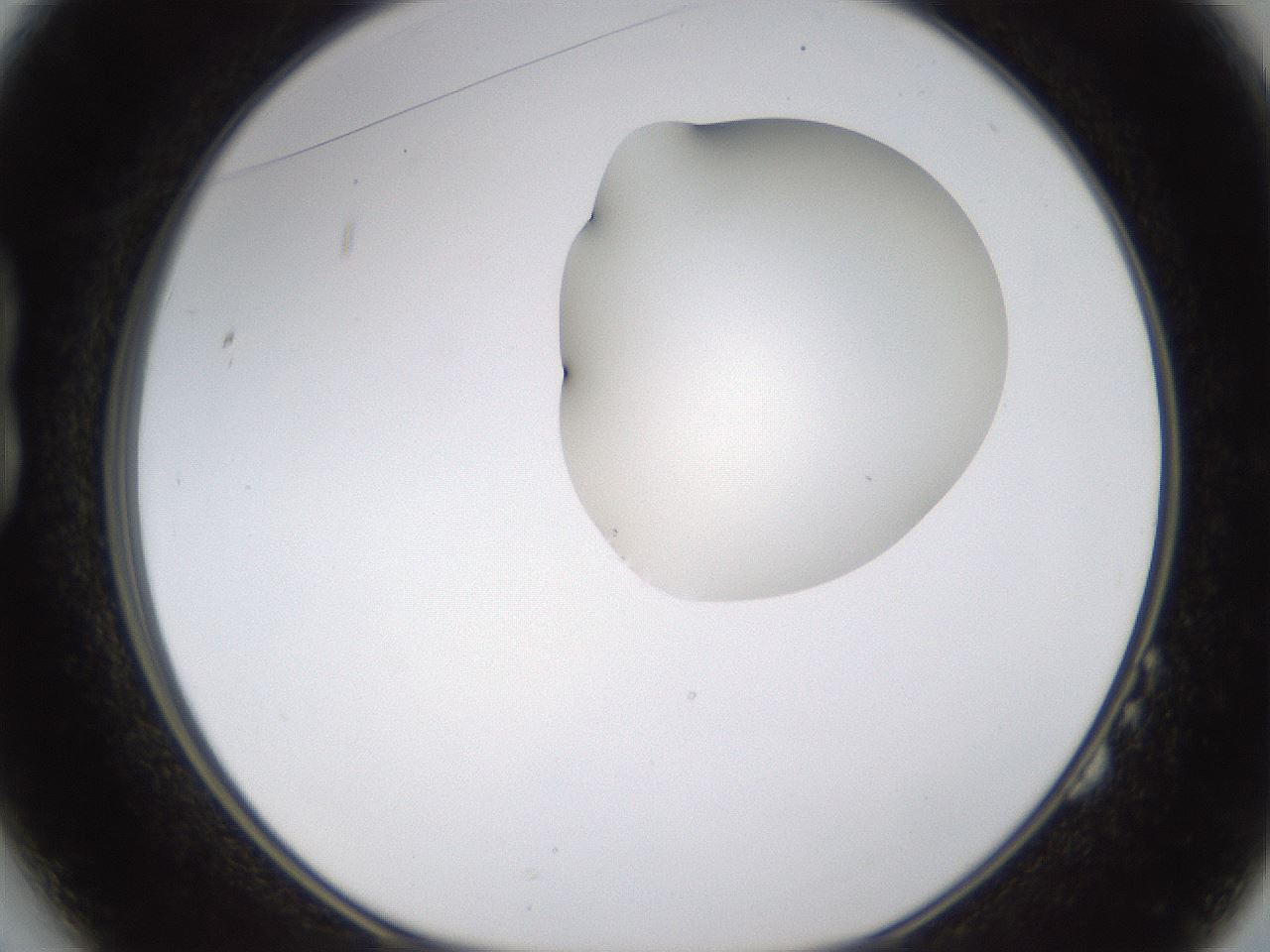 folderID274_plateID1274_batchID4175_wellNum14_profileID1_d1_r76050_ef.jpg