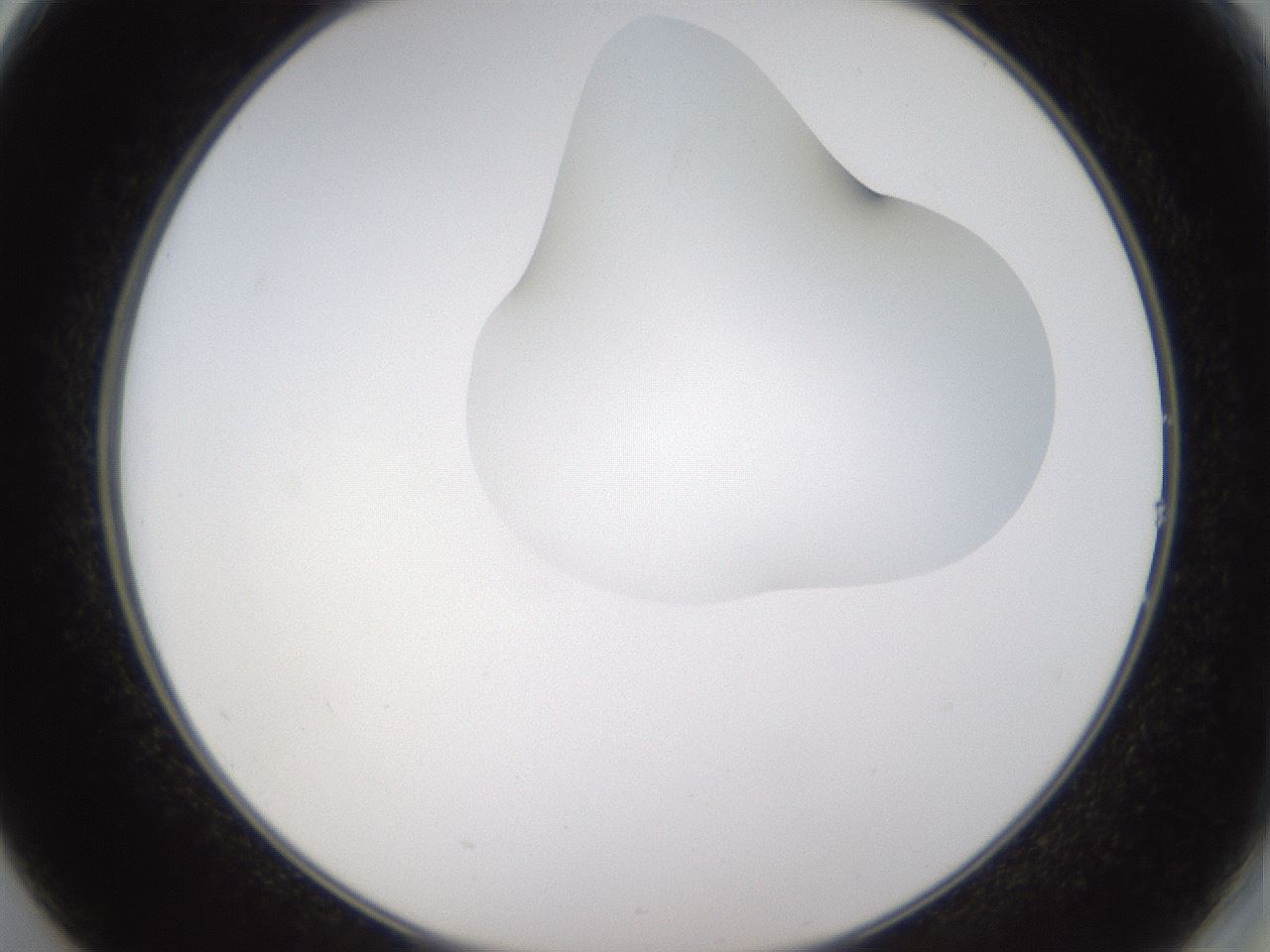 folderID274_plateID1274_batchID4175_wellNum14_profileID1_d2_r76051_ef.jpg