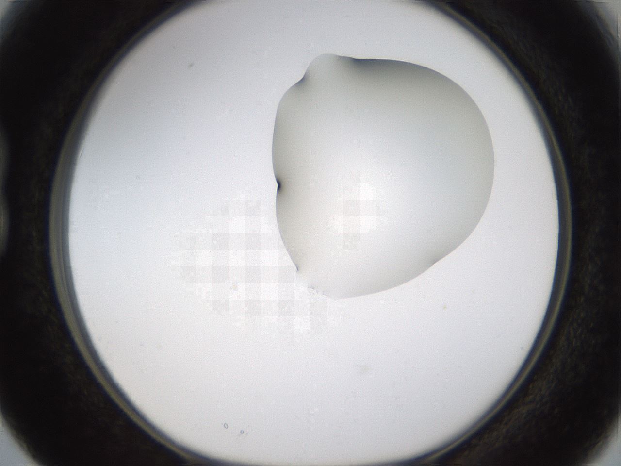 folderID274_plateID1274_batchID4175_wellNum15_profileID1_d1_r76052_ef.jpg