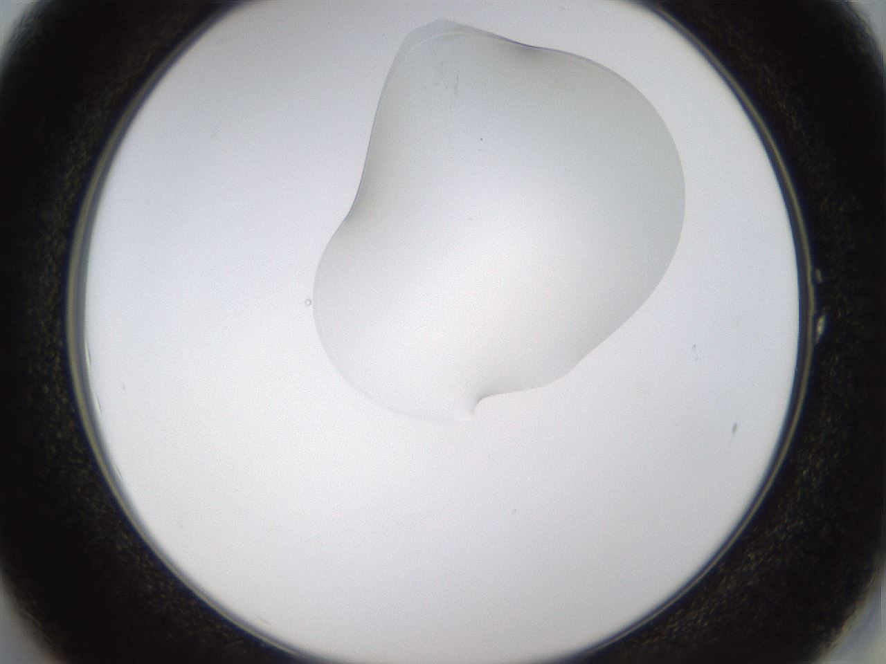 folderID274_plateID1274_batchID4175_wellNum1_profileID1_d2_r76025_ef.jpg