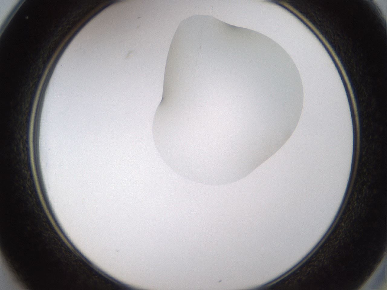 folderID274_plateID1274_batchID4175_wellNum25_profileID1_d2_r76073_ef.jpg