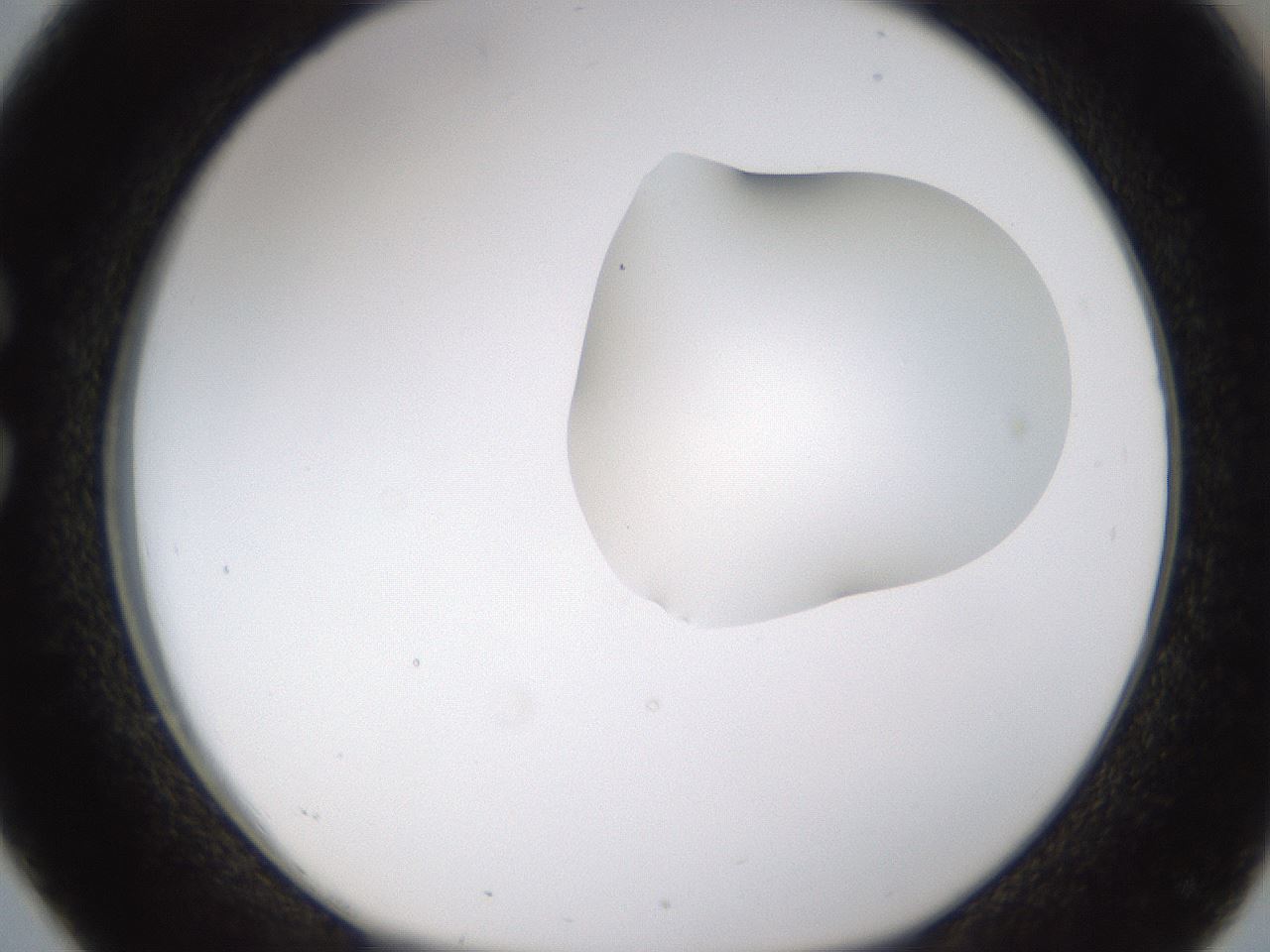 folderID274_plateID1274_batchID4175_wellNum26_profileID1_d1_r76074_ef.jpg