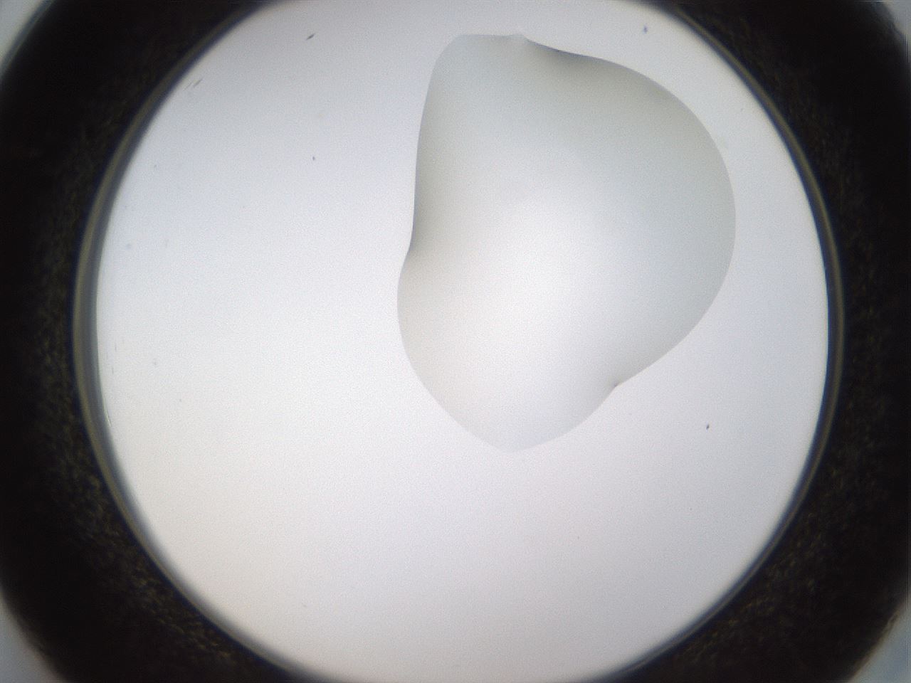 folderID274_plateID1274_batchID4175_wellNum26_profileID1_d2_r76075_ef.jpg