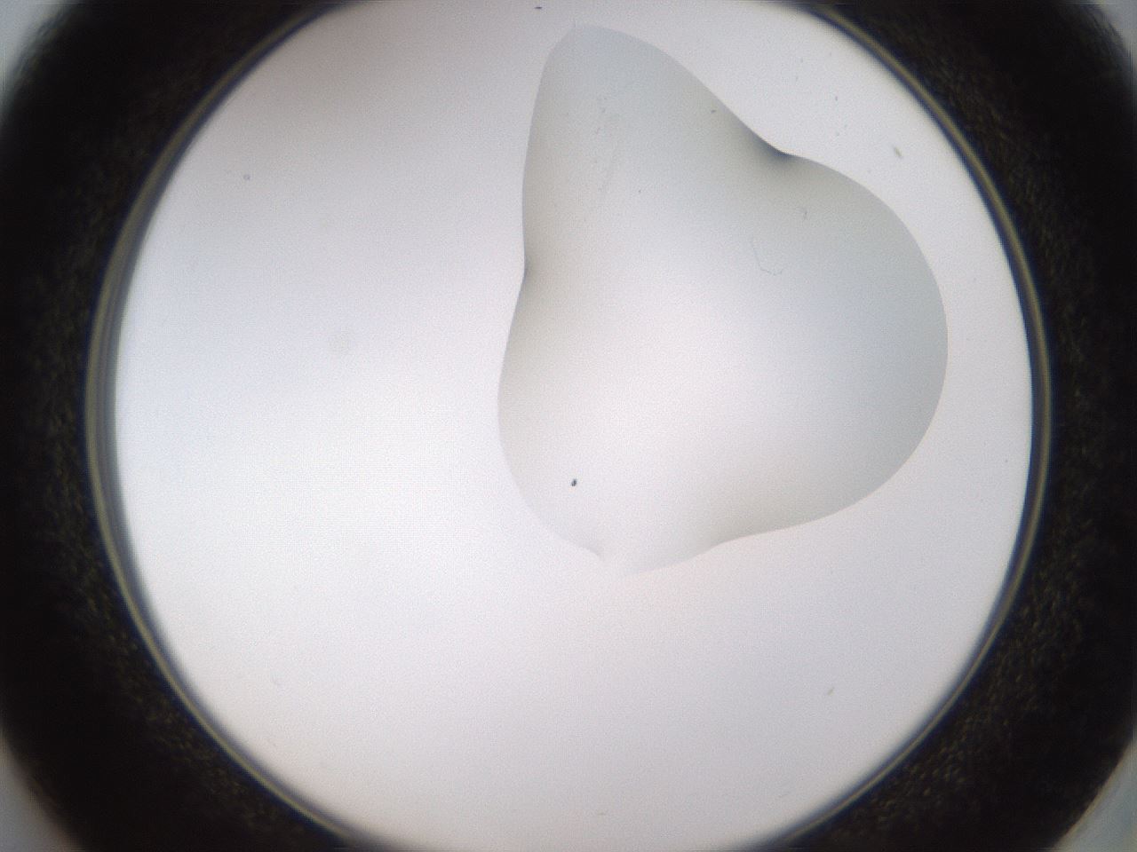 folderID274_plateID1274_batchID4175_wellNum37_profileID1_d2_r76097_ef.jpg