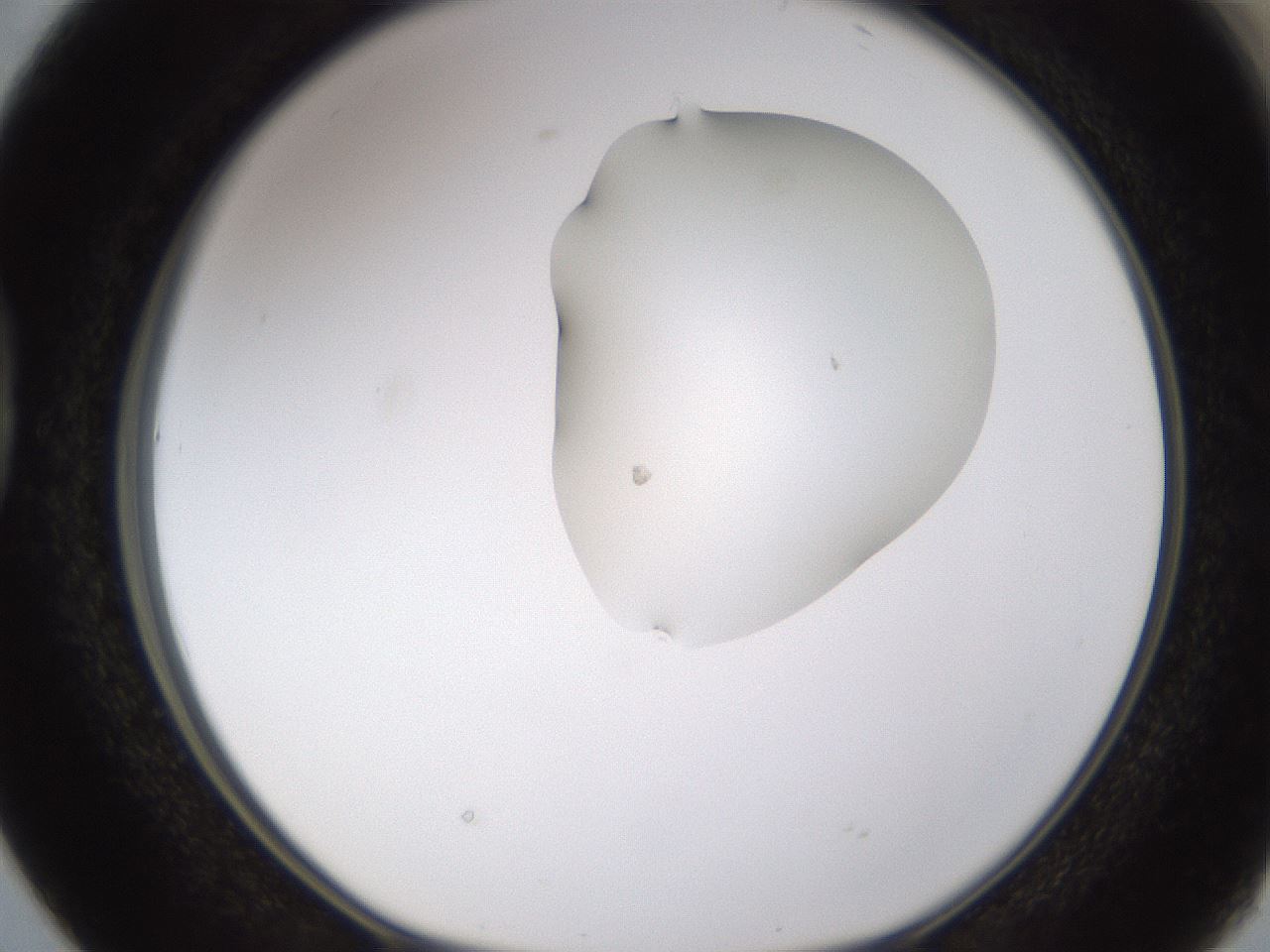folderID274_plateID1274_batchID4175_wellNum38_profileID1_d1_r76098_ef.jpg