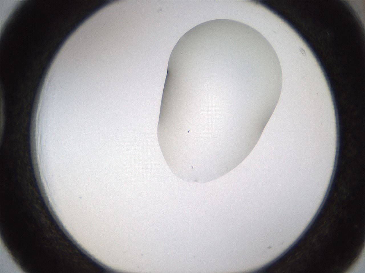 folderID274_plateID1274_batchID4175_wellNum39_profileID1_d1_r76100_ef.jpg