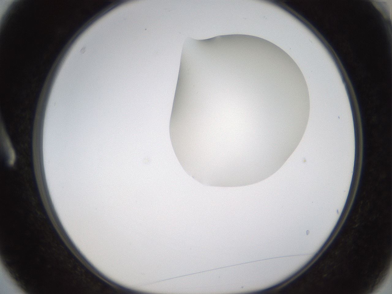 folderID274_plateID1274_batchID4175_wellNum3_profileID1_d1_r76028_ef.jpg