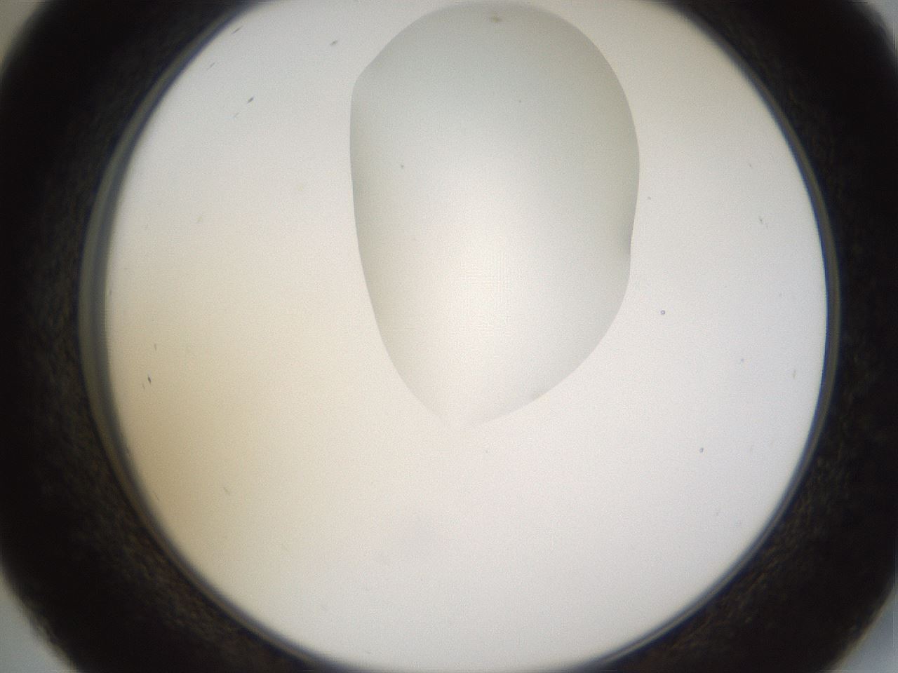 folderID274_plateID1274_batchID4175_wellNum45_profileID1_d2_r76113_ef.jpg