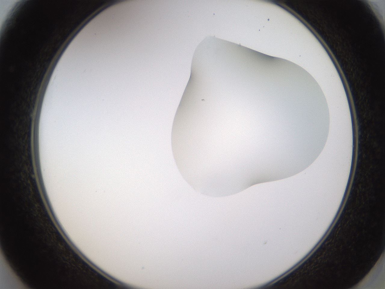 folderID274_plateID1274_batchID4175_wellNum49_profileID1_d2_r76121_ef.jpg