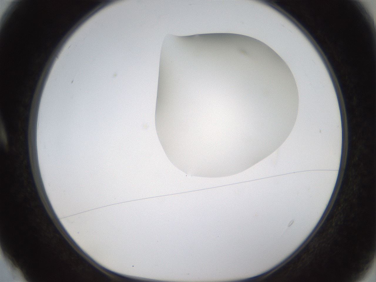 folderID274_plateID1274_batchID4175_wellNum4_profileID1_d1_r76030_ef.jpg