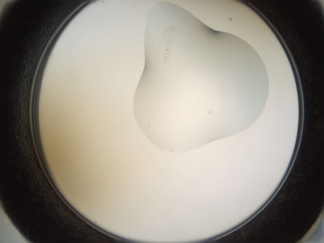 folderID274_plateID1274_batchID4175_wellNum59_profileID1_d2_r76141_ef.jpg
