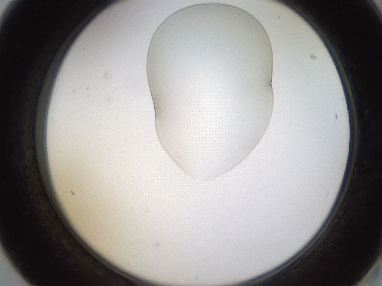 folderID274_plateID1274_batchID4175_wellNum68_profileID1_d2_r76159_ef.jpg