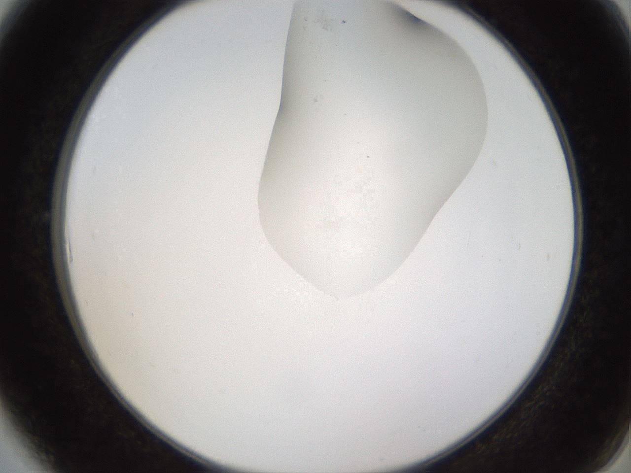 folderID274_plateID1274_batchID4175_wellNum6_profileID1_d2_r76035_ef.jpg
