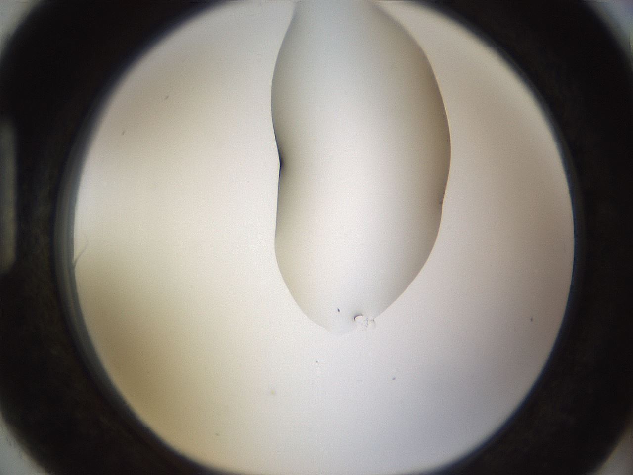 folderID274_plateID1274_batchID4175_wellNum90_profileID1_d1_r76202_ef.jpg