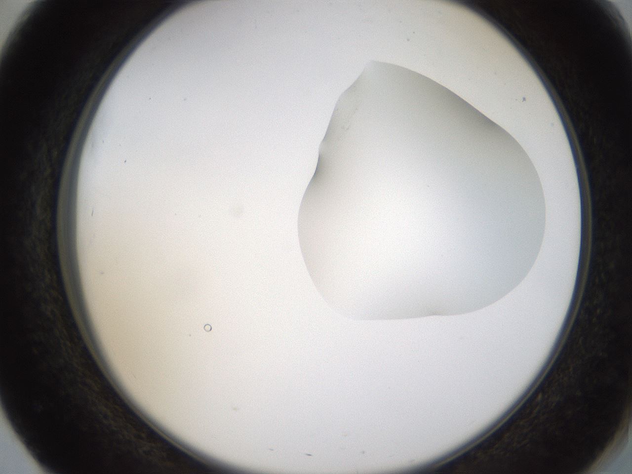 folderID275_plateID1275_batchID4177_wellNum51_profileID1_d2_r76701_ef.jpg