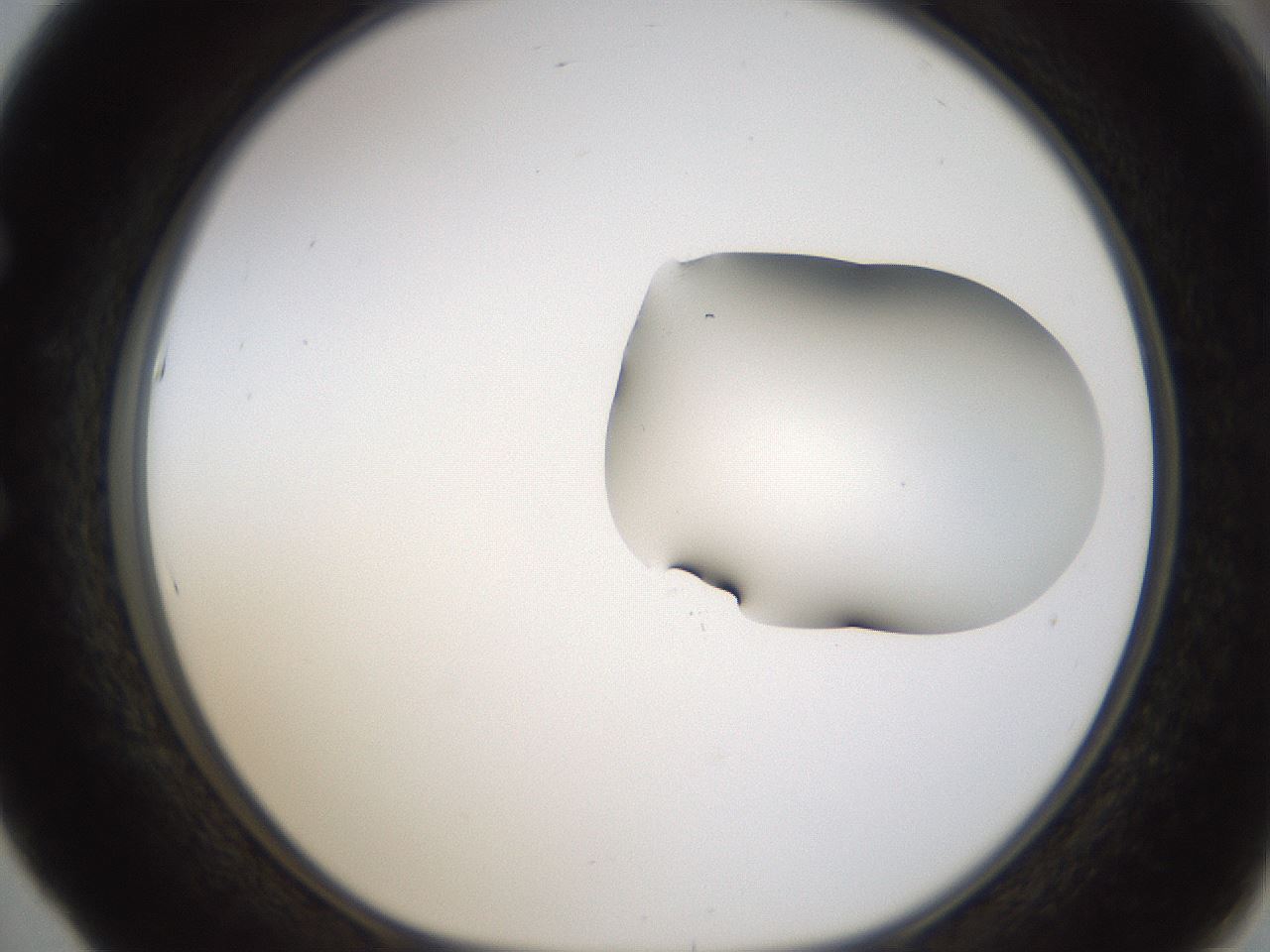 folderID275_plateID1275_batchID4177_wellNum53_profileID1_d1_r76704_ef.jpg