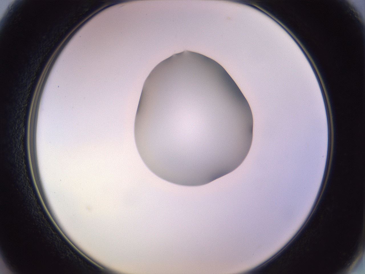 folderID276_plateID1276_batchID4164_wellNum13_profileID1_d2_r72977_ef.jpg