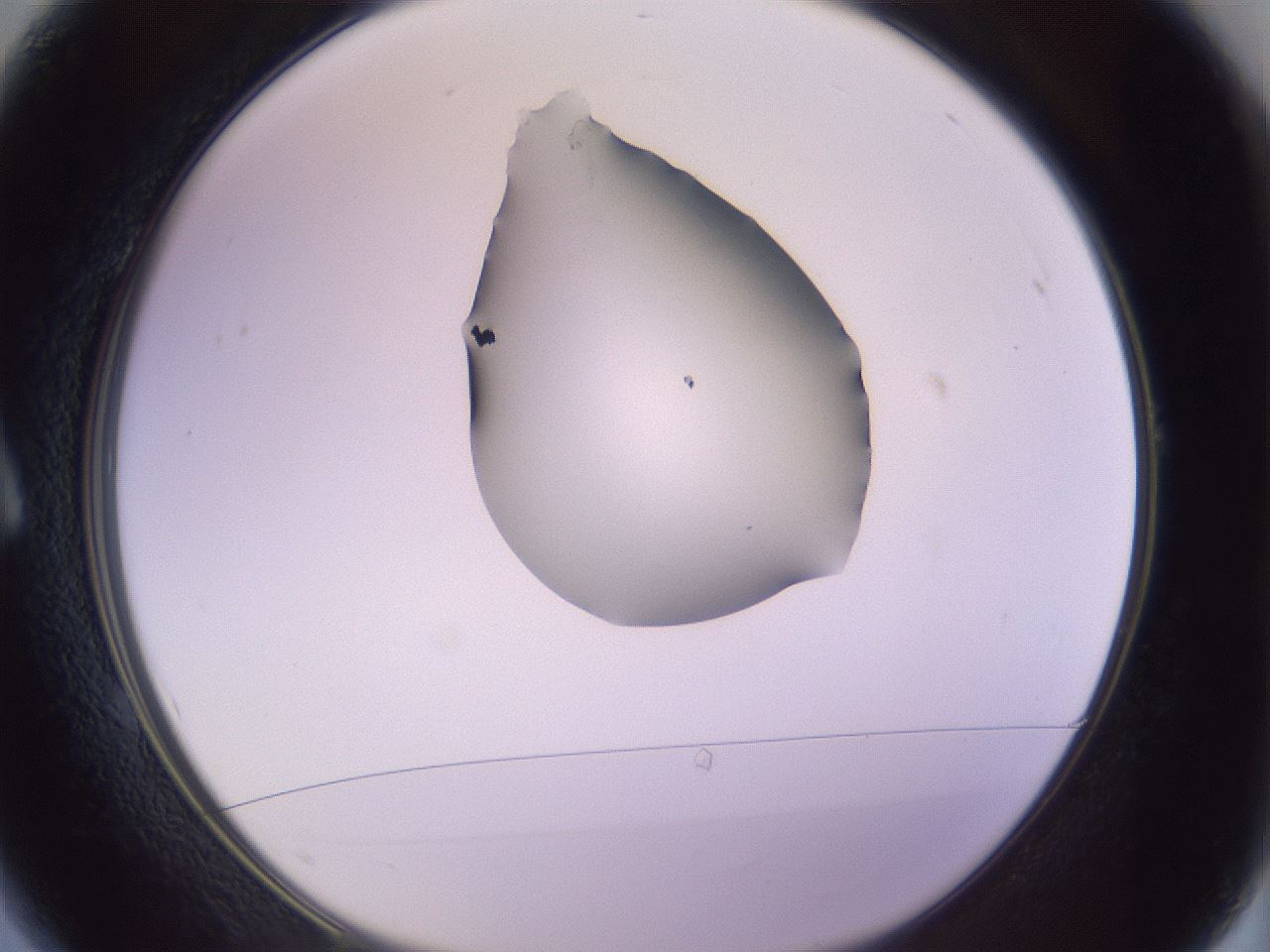 folderID276_plateID1276_batchID4164_wellNum1_profileID1_d1_r72952_ef.jpg