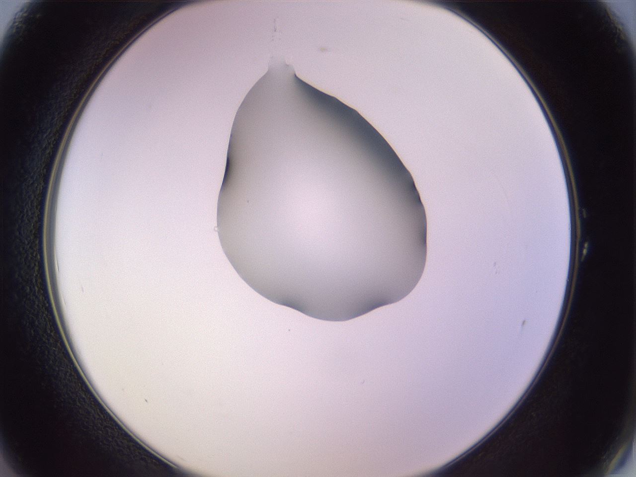 folderID276_plateID1276_batchID4164_wellNum1_profileID1_d2_r72953_ef.jpg