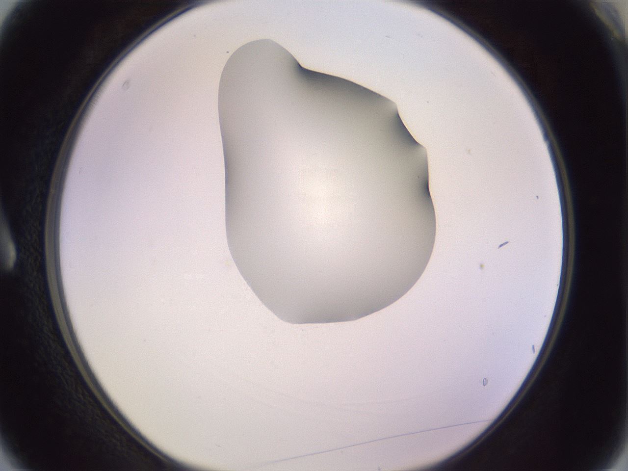 folderID276_plateID1276_batchID4164_wellNum3_profileID1_d1_r72956_ef.jpg