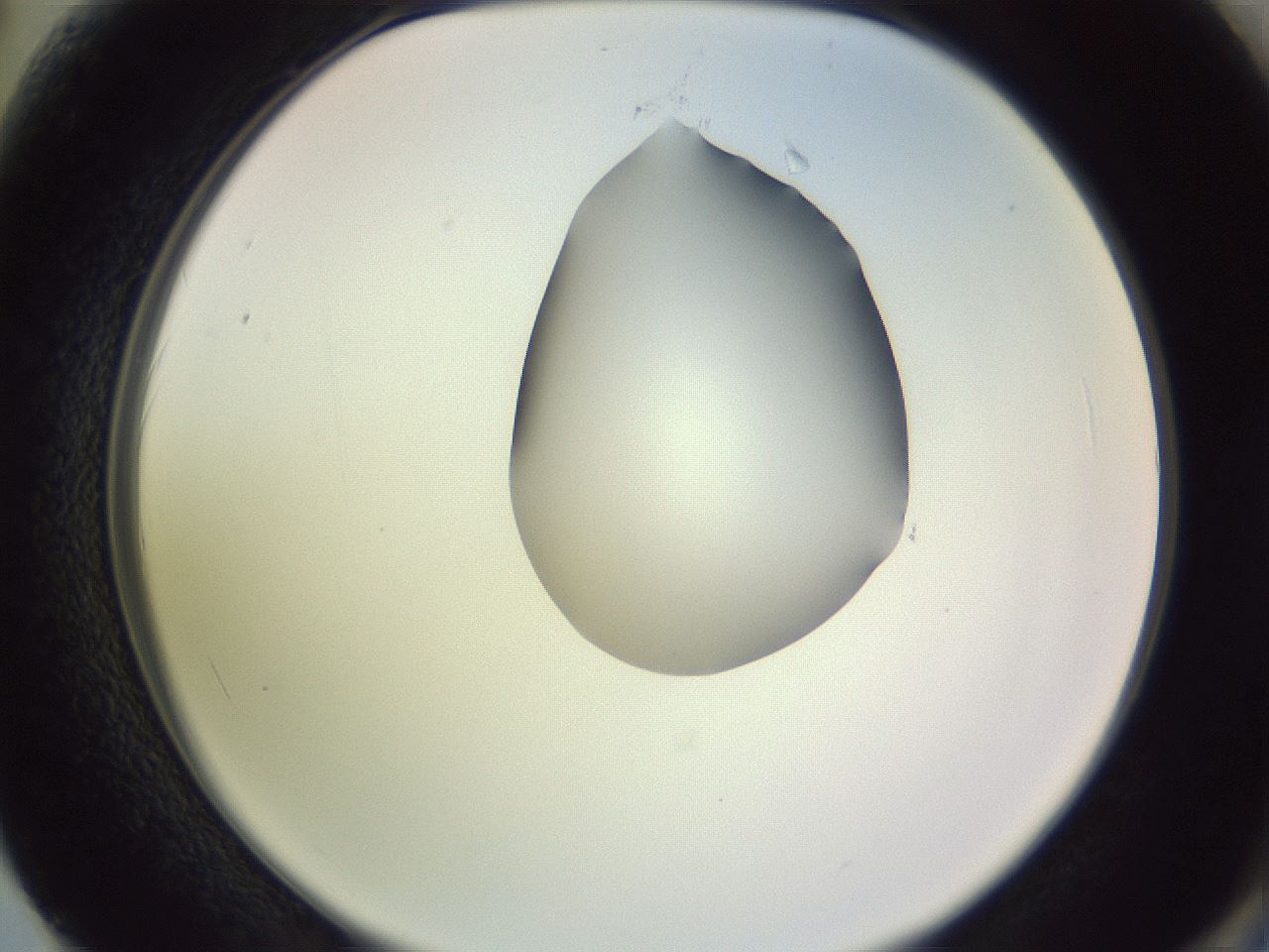 folderID276_plateID1276_batchID4164_wellNum62_profileID1_d2_r73075_ef.jpg