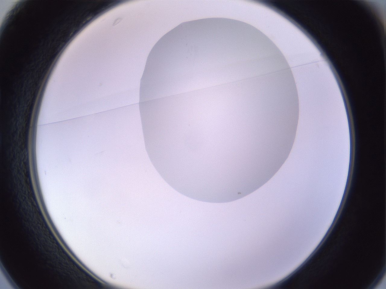 folderID277_plateID1277_batchID4166_wellNum25_profileID1_d1_r73576_ef.jpg
