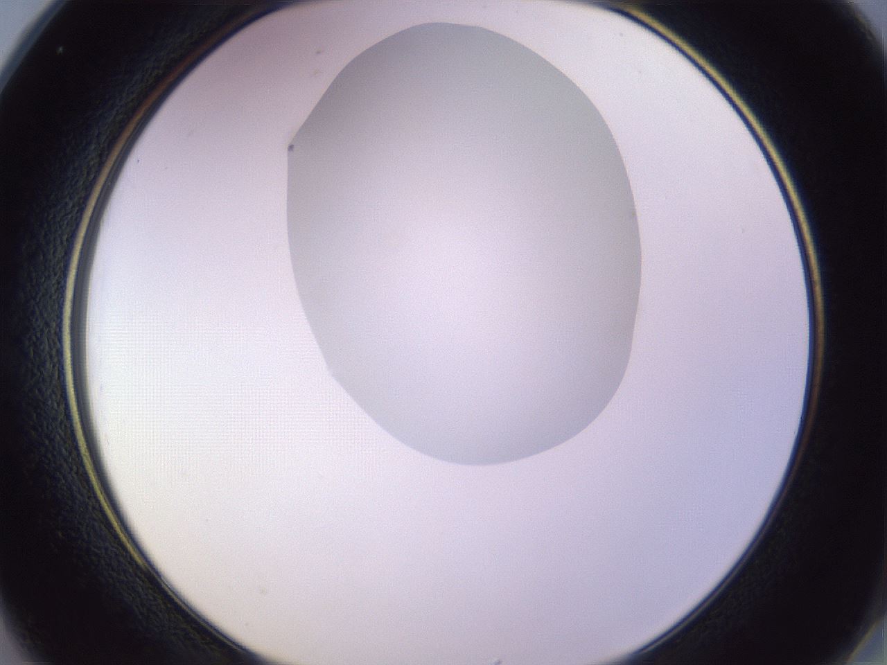 folderID277_plateID1277_batchID4166_wellNum25_profileID1_d2_r73577_ef.jpg