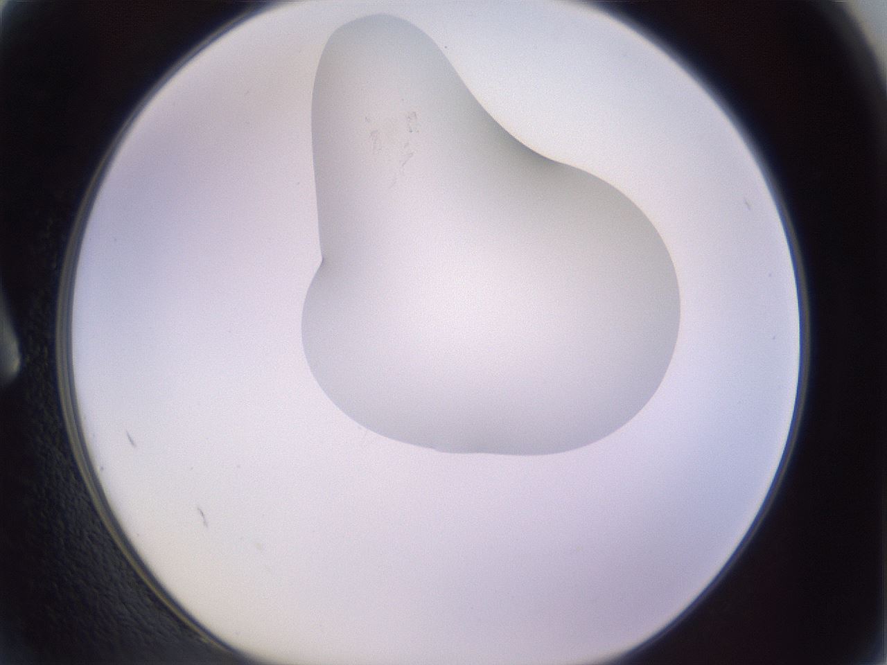 folderID277_plateID1277_batchID4166_wellNum2_profileID1_d1_r73530_ef.jpg