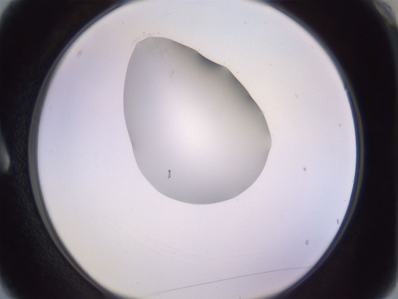 folderID277_plateID1277_batchID4166_wellNum3_profileID1_d1_r73532_ef.jpg